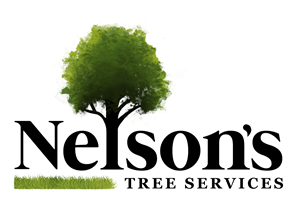 Nelson's Tree Services