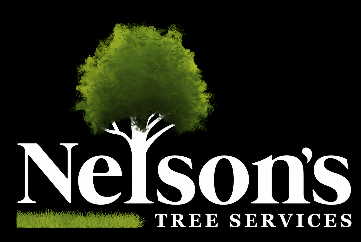 Nelsons-Logo