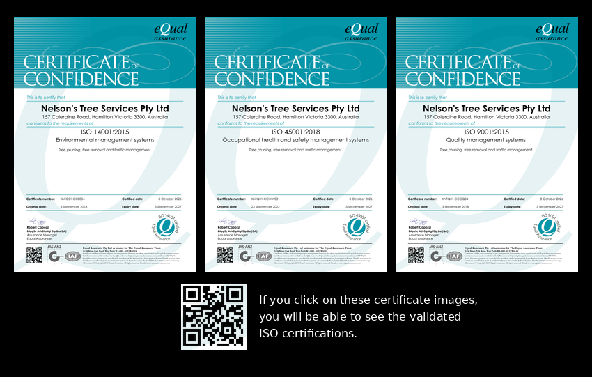 ISO-Certificates-with-QR ISO 9001, ISO 14001, ISO 45001 Certified - Equal Assurance Certificates